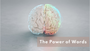 How the brain works in recognizing quality copy and enticing Google Ads.